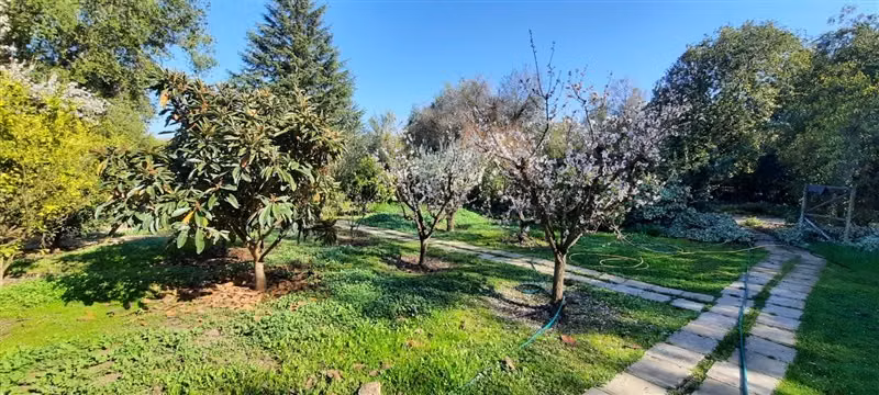 Casa en arriendo de 5 dorm. en Colina