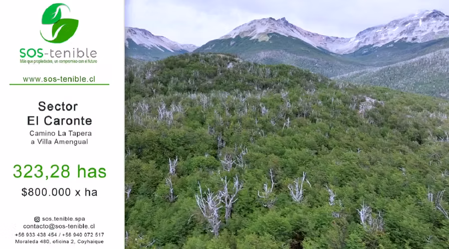 323 HAS EN PATAGONIA, NATURALEZA VIVA