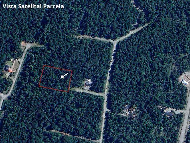 PARCELA 5100 M2 ROL PROPIO, CON BOSQUE NATIVO, PUERTO VARAS