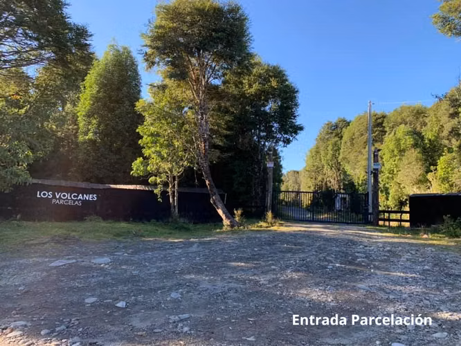 PARCELA CON BOSQUE NATIVO EN PUERTO VARAS