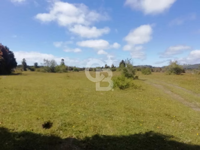 En venta parcela sector El Rulo, cerca de Calbuco - Imagen 2