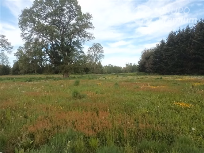 Parcela en venta Raices Los Pellines, Frutillar