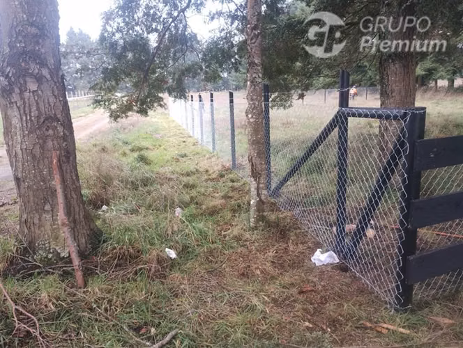 Parcela en venta Raices Los Pellines, Frutillar - Imagen 3