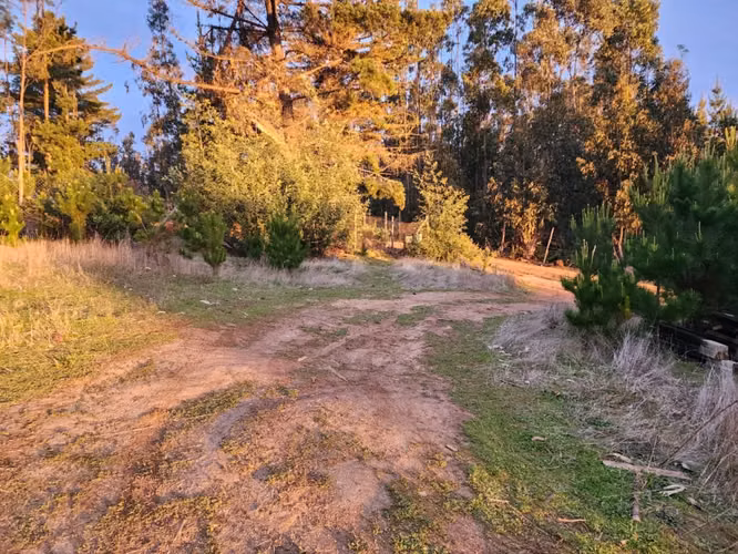 Terreno Sector El Molino, Pichilemu