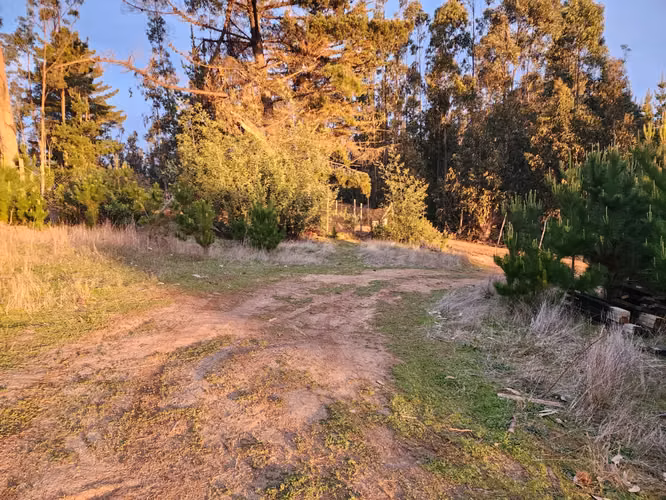 Terreno Sector El Molino, Pichilemu