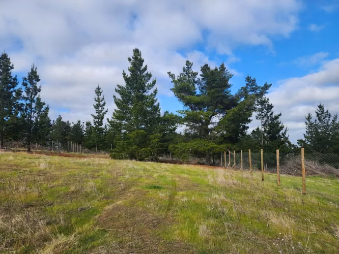 Loteo Alto Pichilemu - Imagen 5