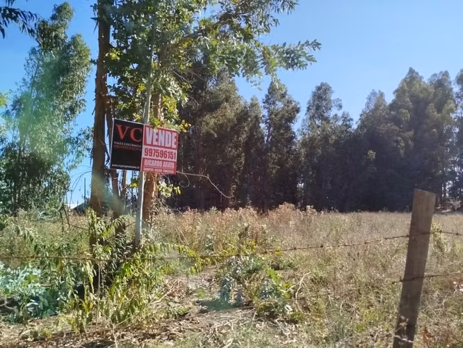 PERALILLO HERMOSO TERRENO DE 8.400 MTRS2