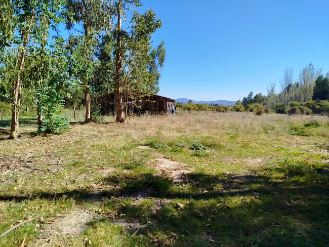 PERALILLO HERMOSO TERRENO DE 8.400 MTRS2