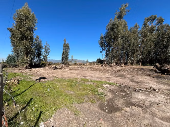 PERALILLO HERMOSO TERRENO DE 8.400 MTRS2