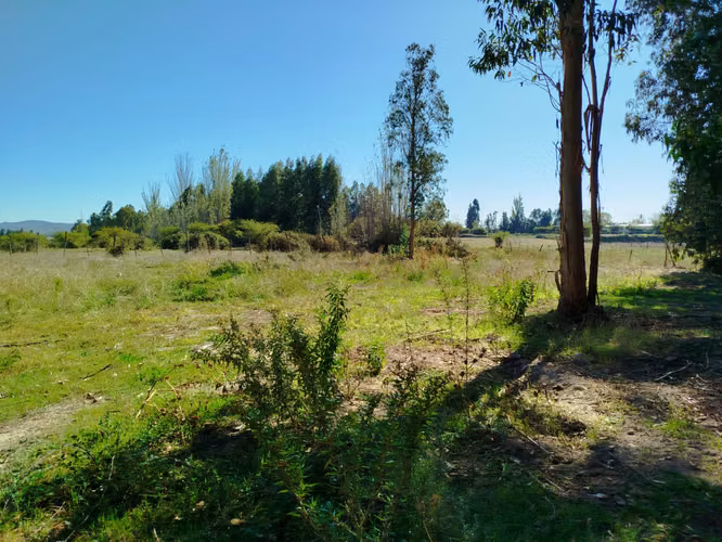 PERALILLO HERMOSO TERRENO DE 8.400 MTRS2