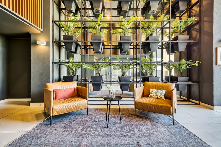 Vicuña Urban [1322-16]