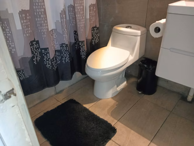 ARRIENDO AMOBLADO AÑO CORRIDO 3 D 2 B - Imagen 21