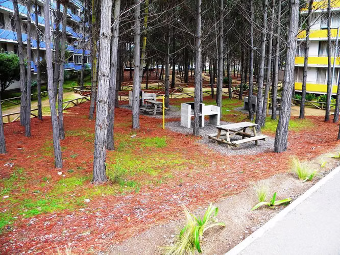 Hermoso Depto Vista Al Mar 3er Piso 50m2 3d+1b Y Estac. - Imagen 24