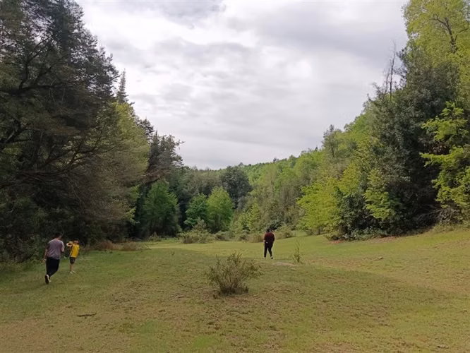 Venta en la Placeta, precordillera, camino a siete tazas