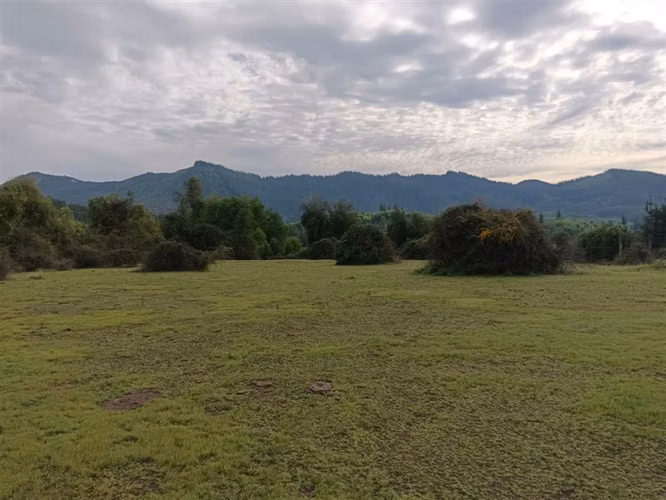 Venta en la Placeta, precordillera, camino a siete tazas