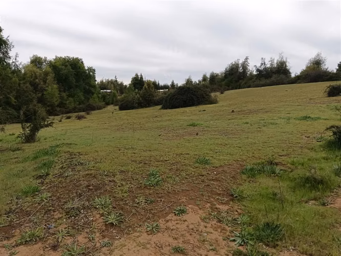 Venta en la Placeta, precordillera, camino a siete tazas