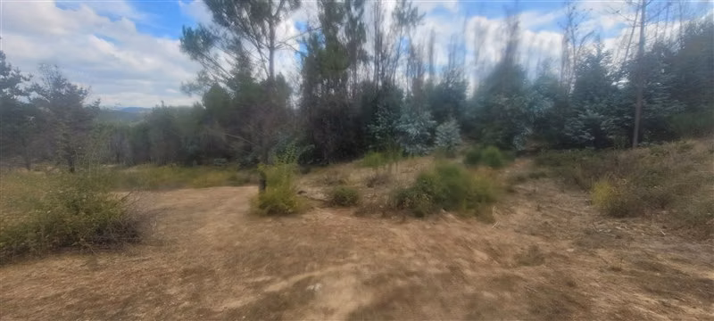 Sitio en venta en Nacimiento