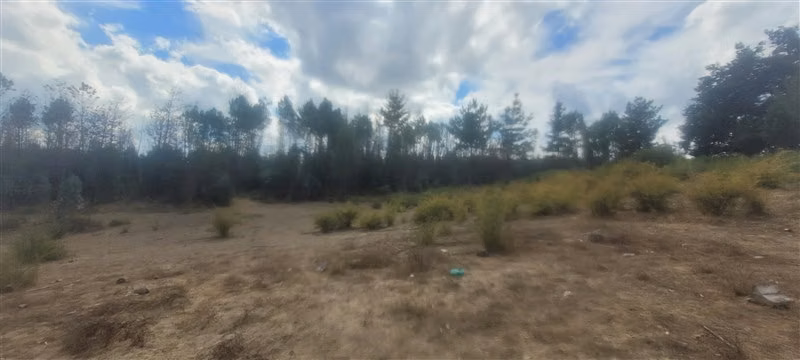 Sitio en venta en Nacimiento