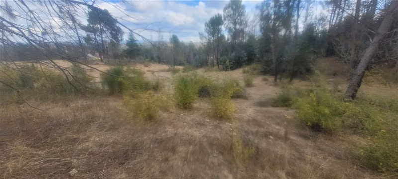 Sitio en venta en Nacimiento