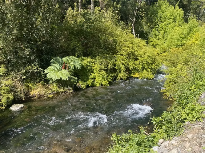 Parcela en Barrio Privado. Camino entre Pucón-Villarrica. - Imagen 11