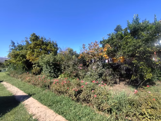 EN Venta Parcela de 1 hectárea con casa en la Punt