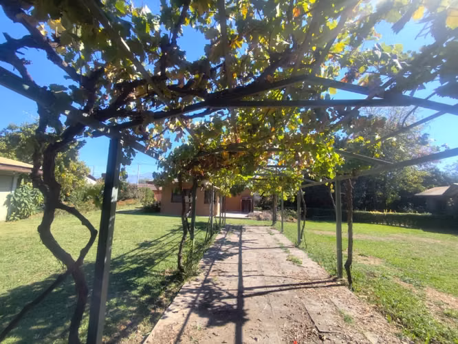 EN Venta Parcela de 1 hectárea con casa en la Punt
