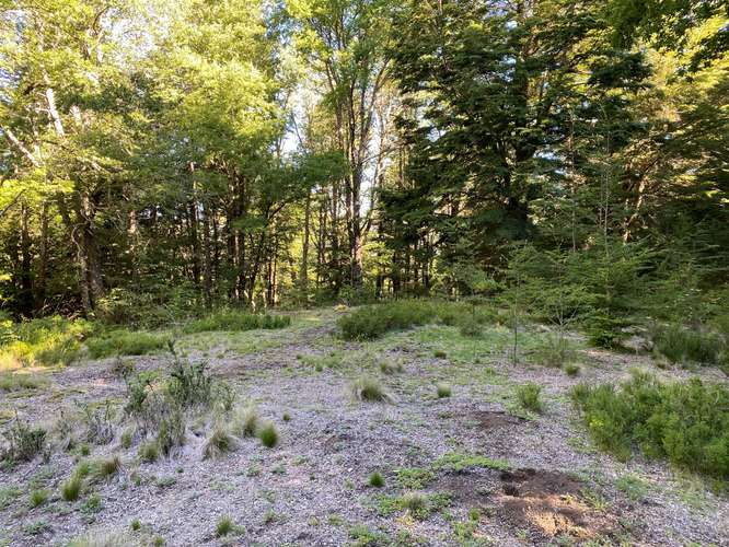 SE VENDEN HERMOSOS TERRENOS 5000M2 MALALCAHUELLO