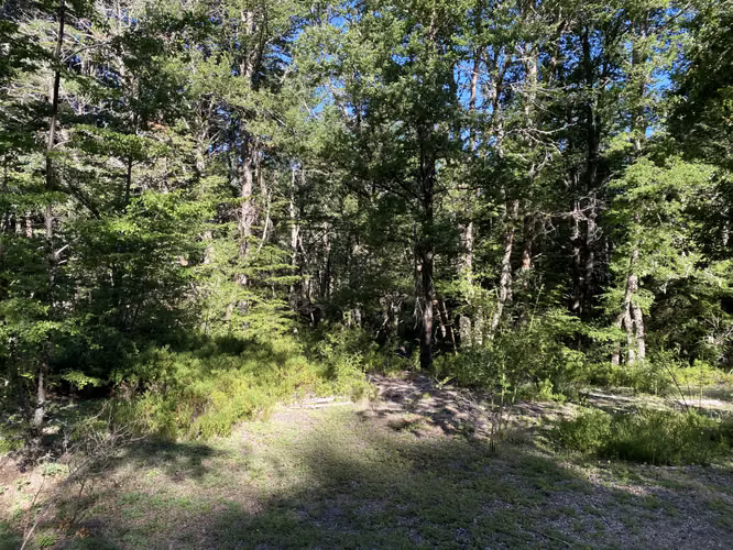 EN VENTA HERMOSAS PARCELAS 5000M2 MALALCAHUELLO