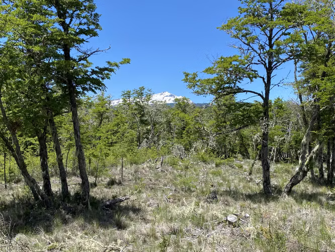 EN VENTA HERMOSAS PARCELAS 5000M2 MALALCAHUELLO