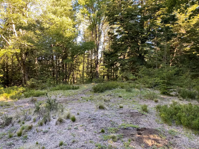 EN VENTA HERMOSAS PARCELAS 5000M2 MALALCAHUELLO