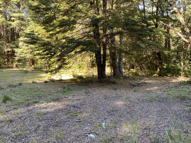 EN VENTA HERMOSAS PARCELAS 5000M2 MALALCAHUELLO