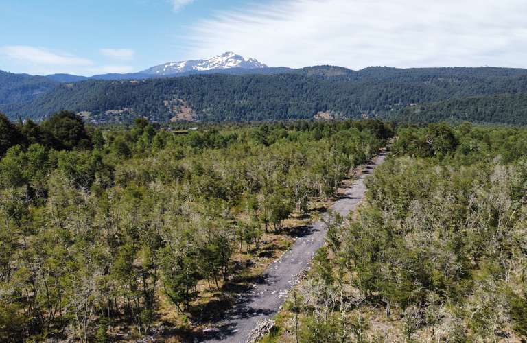 EN VENTA HERMOSAS PARCELAS 5000M2 MALALCAHUELLO - Imagen 12