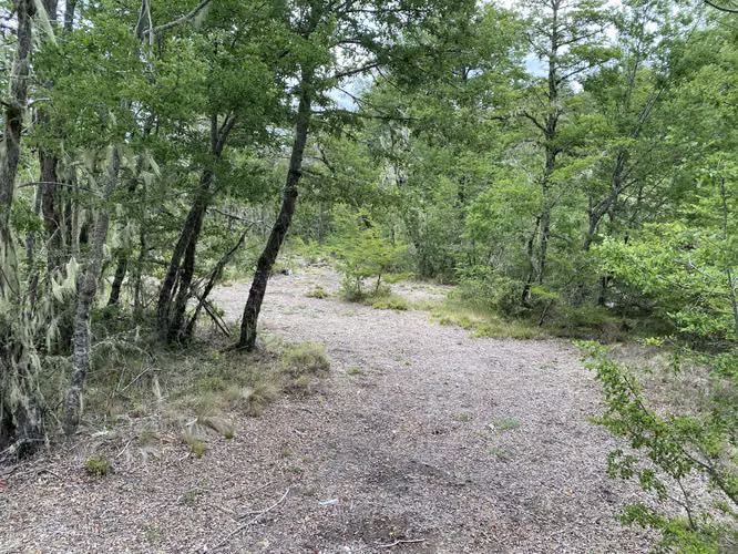 EN VENTA HERMOSAS PARCELAS 5000M2 MALALCAHUELLO