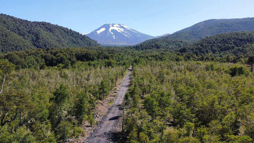 SE VENDEN HERMOSOS TERRENOS 5000M2 MALALCAHUELLO