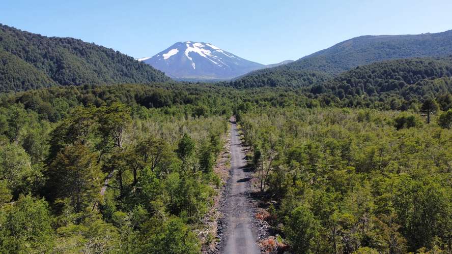 SE VENDEN HERMOSOS TERRENOS 5000M2 MALALCAHUELLO