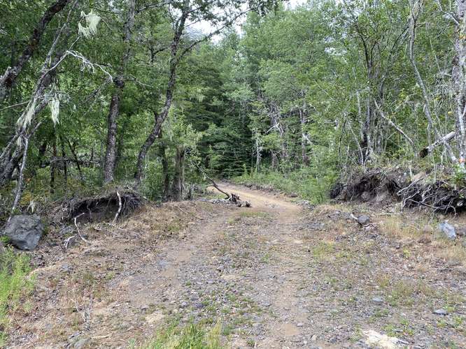 EN VENTA HERMOSAS PARCELAS 5000M2 MALALCAHUELLO - Imagen 19
