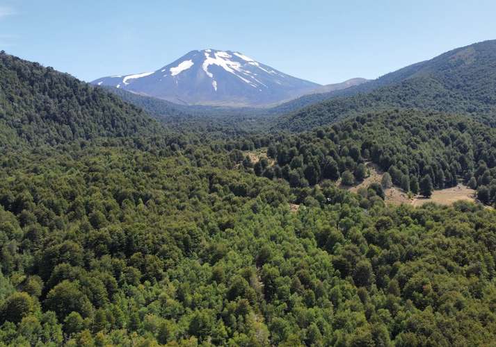 SE VENDEN HERMOSOS TERRENOS 5000M2 MALALCAHUELLO