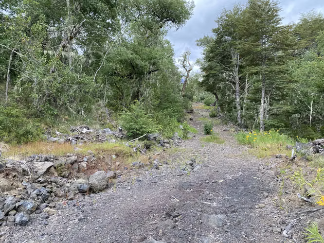 EN VENTA HERMOSAS PARCELAS 5000M2 MALALCAHUELLO