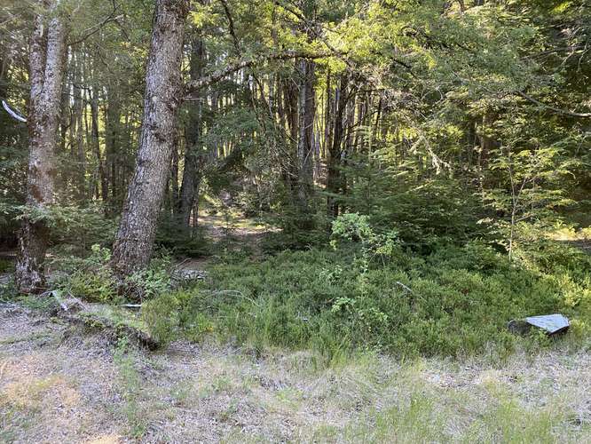 SE VENDEN HERMOSOS TERRENOS 5000M2 MALALCAHUELLO