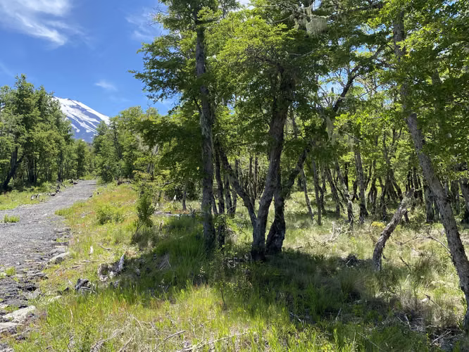 SE VENDEN HERMOSOS TERRENOS 5000M2 MALALCAHUELLO