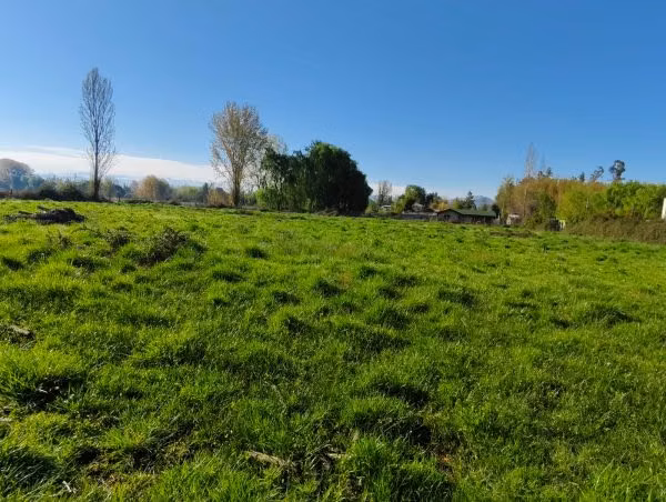 PARCELA PARA TU PROYECTO EN COLTAUCO 7445M2 - Imagen 10