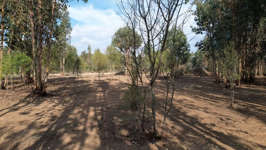 INVIERTE EN NATURALEZA, INVIERTE EN FUTURO