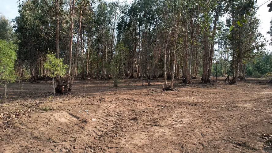 INVIERTE EN NATURALEZA, INVIERTE EN FUTURO