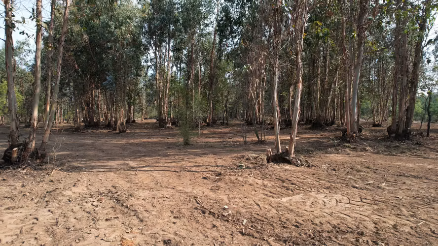 INVIERTE EN NATURALEZA, INVIERTE EN FUTURO