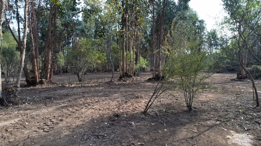 INVIERTE EN NATURALEZA, INVIERTE EN FUTURO