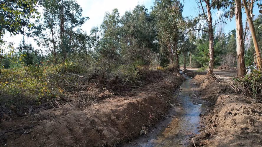 INVIERTE EN NATURALEZA, INVIERTE EN FUTURO