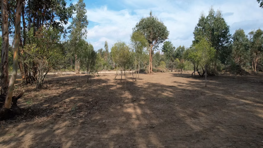 INVIERTE EN NATURALEZA, INVIERTE EN FUTURO