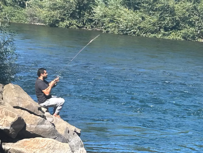 REBAJAMOS HERMOSA PARCELA  A METROS DEL RÍO TOLTÉN