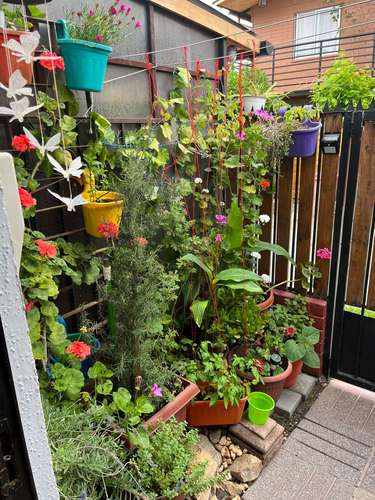 VENTA  ACOGEDORA CASA CON EXCELENTE UBICACIÓN TALAGANTE - Imagen 5