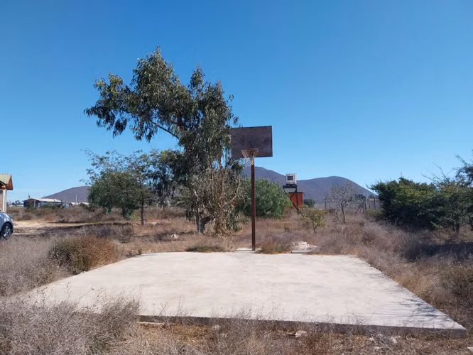 LOS TRIGALES GUANAQUEROS, COQUIMBO - Imagen 7